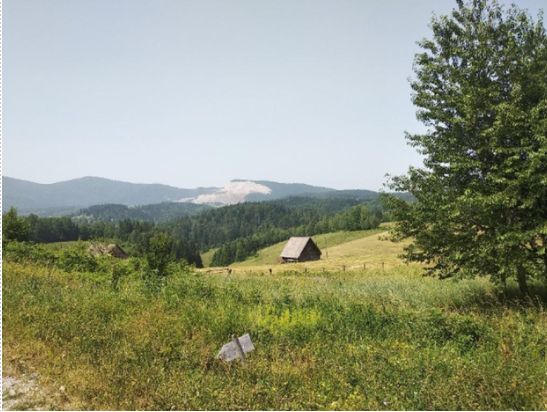 Fig. 5: © Miloš Đurović